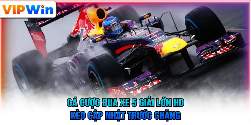 Cá cược đua xe 5 giải lớn HD, kèo cập nhật trước chặng